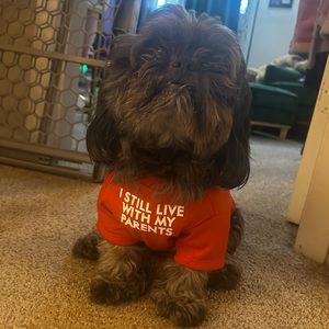 “I Still Live With My Parents” Shirt - The Doggie is not for sale 😆